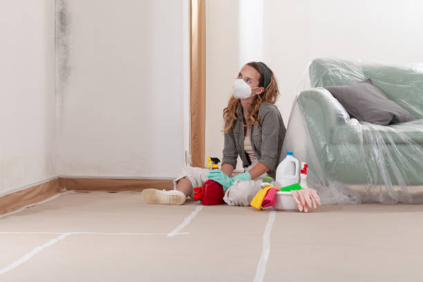 Reliable Mold Remediation contractor in Morganville, NJ by Cheap Mold Removal